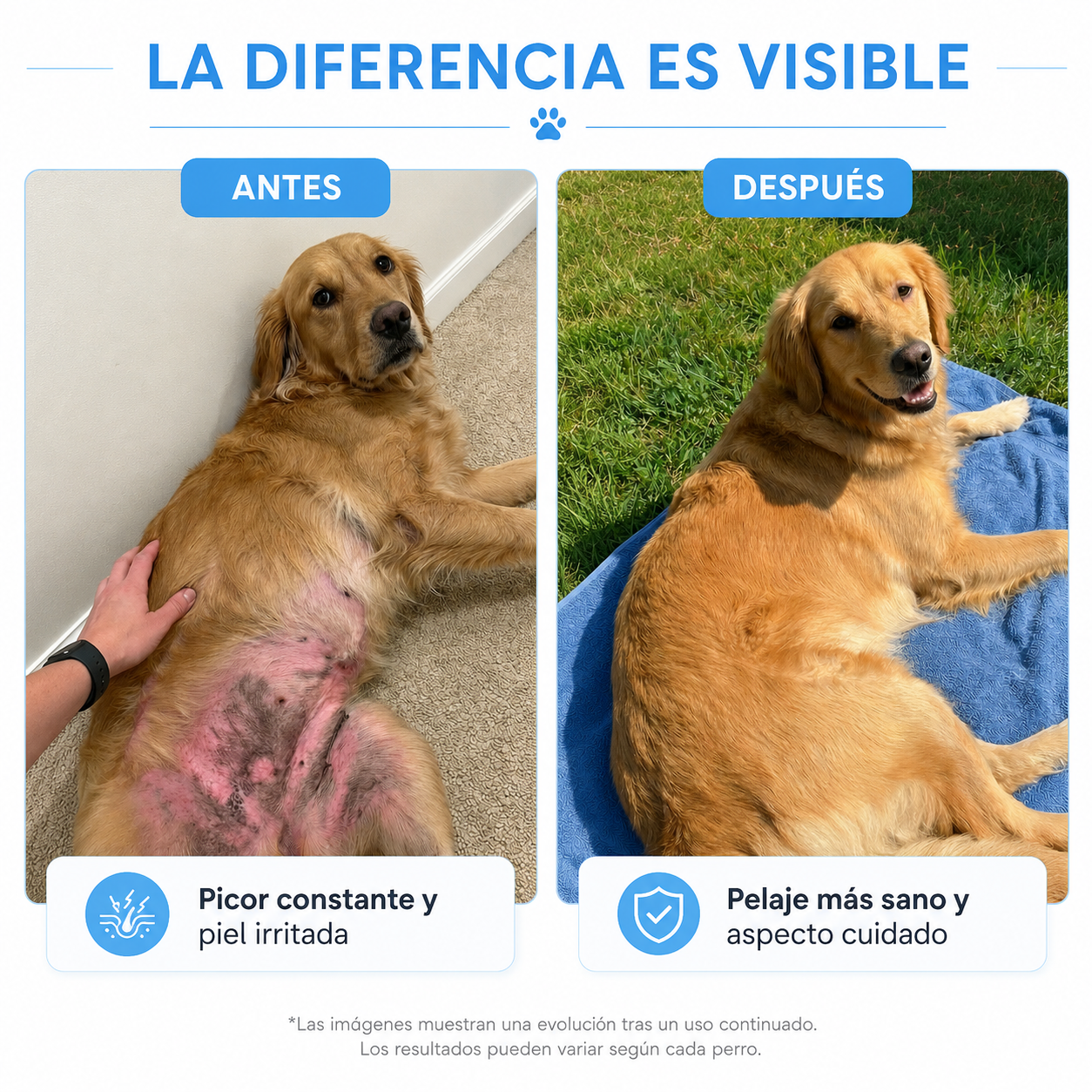 Colágeno Líquido para Perros | Articulaciones, Pelaje y Vitalidad