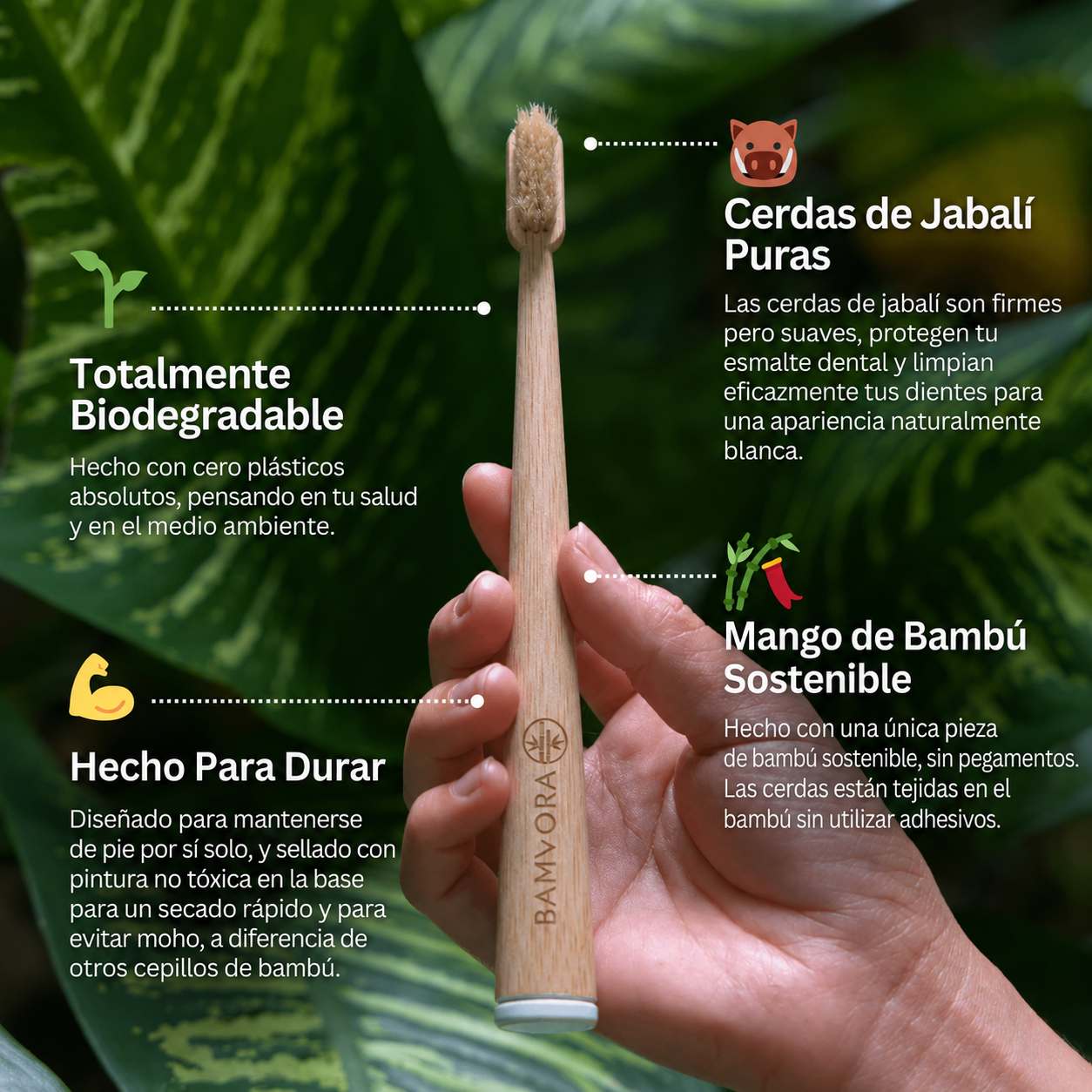 Cepillo Dental Natural Sin Cerdas de Plastico