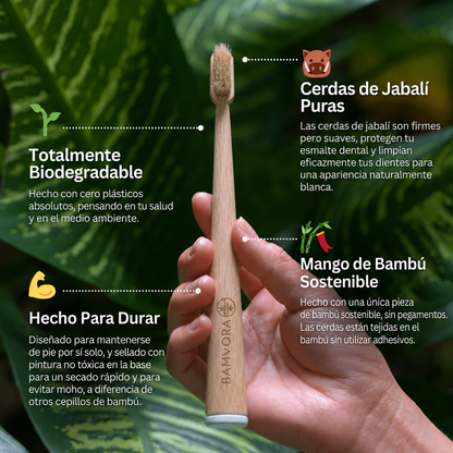 Cepillo Dental Natural Sin Cerdas de Plastico