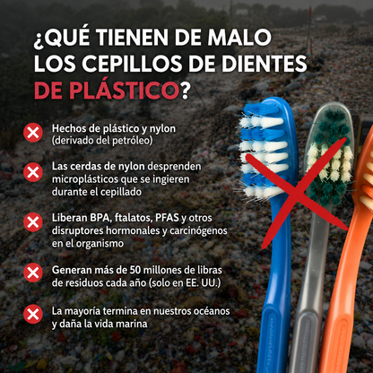 Cepillo Dental Natural Sin Cerdas de Plastico