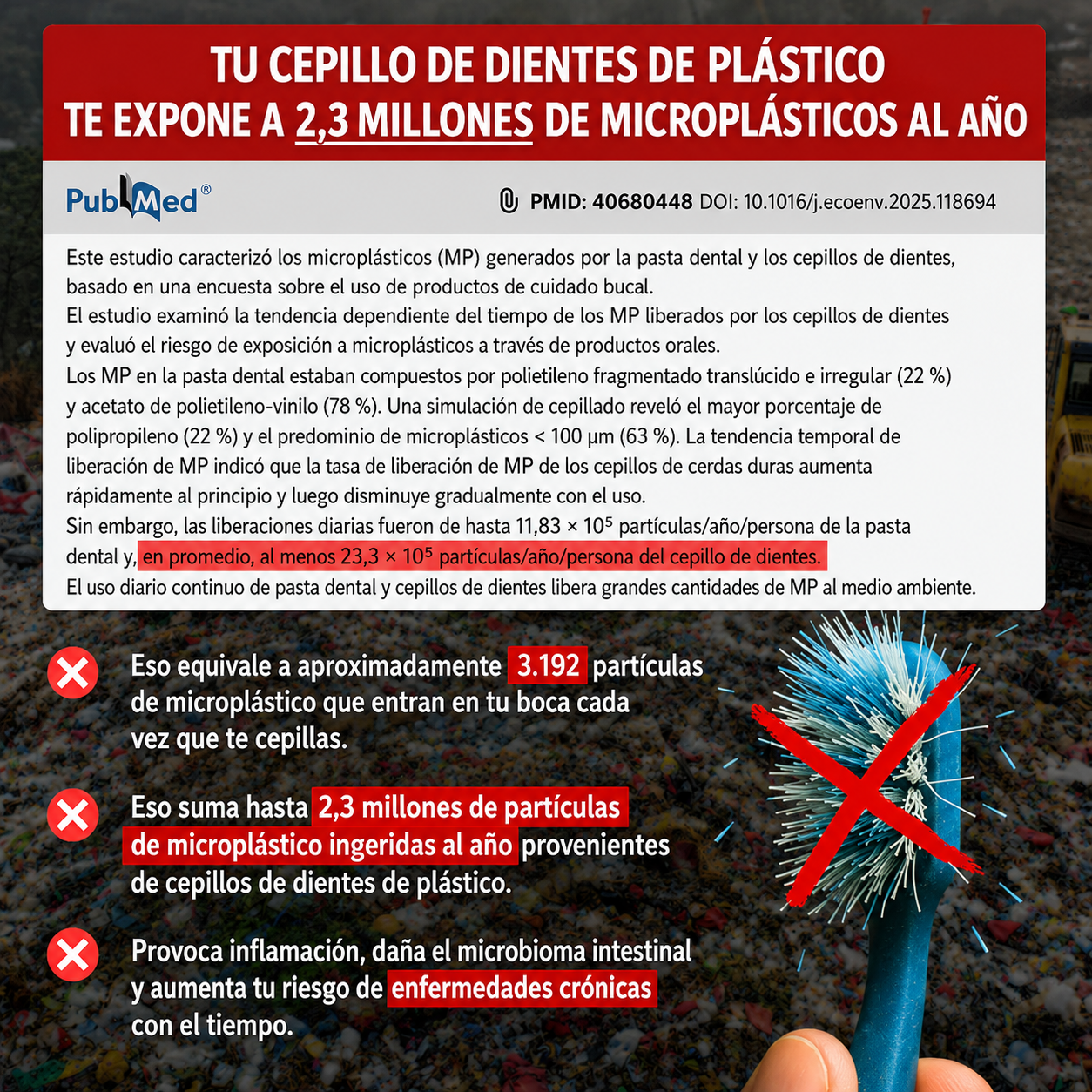 Cepillo Dental Natural Sin Cerdas de Plastico